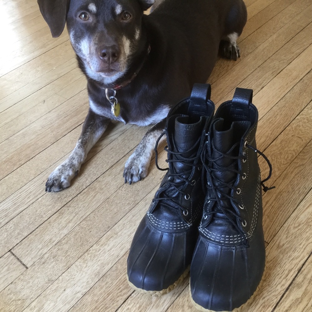 L.L. Bean 8” Boots New Insoles 7C fits 8C / 8.5C